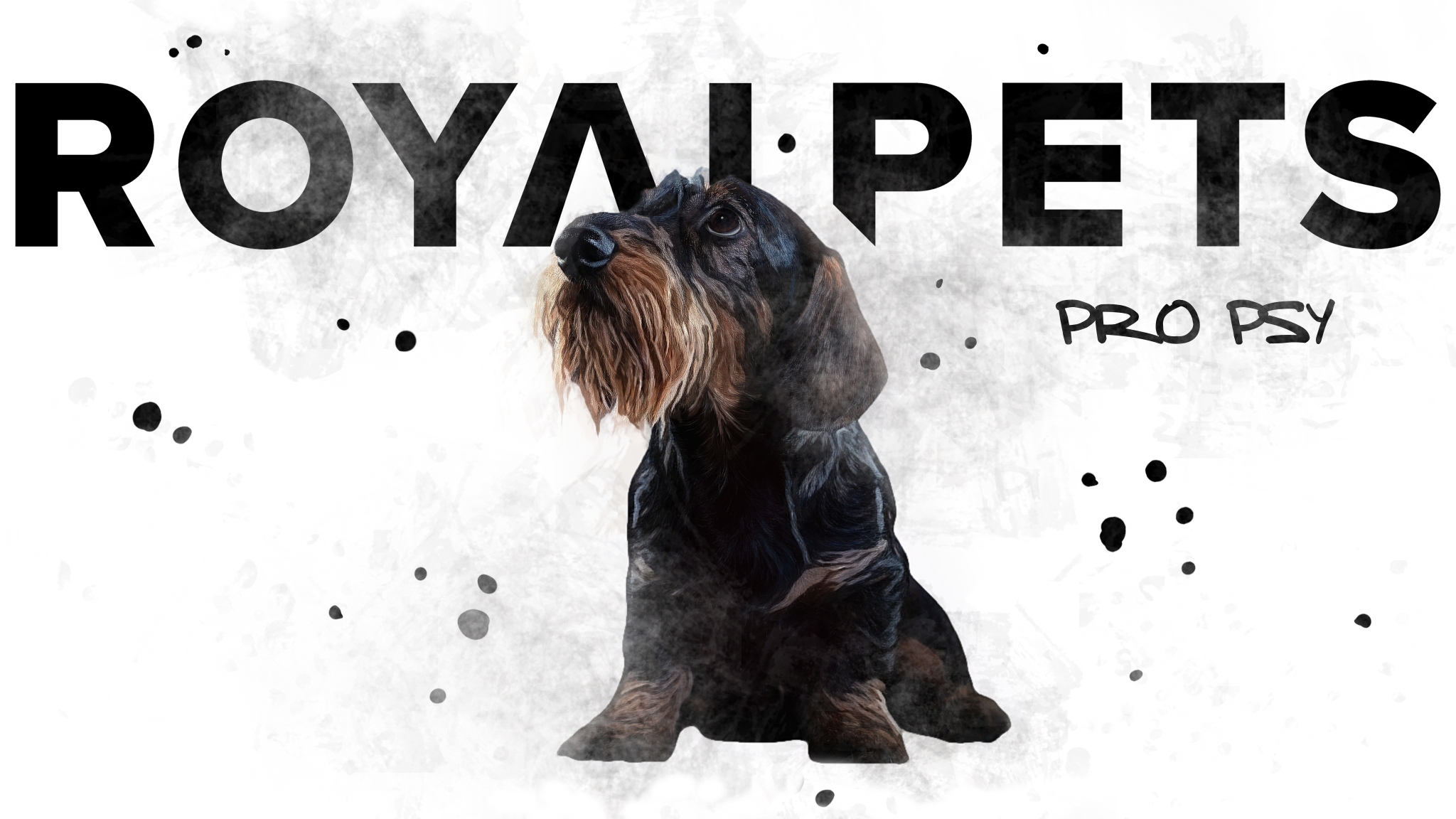 Potřeby pro psy white mazanice
